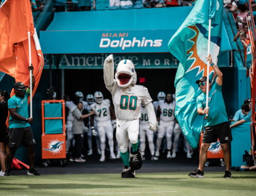 Miami Dolphins Brand Guide